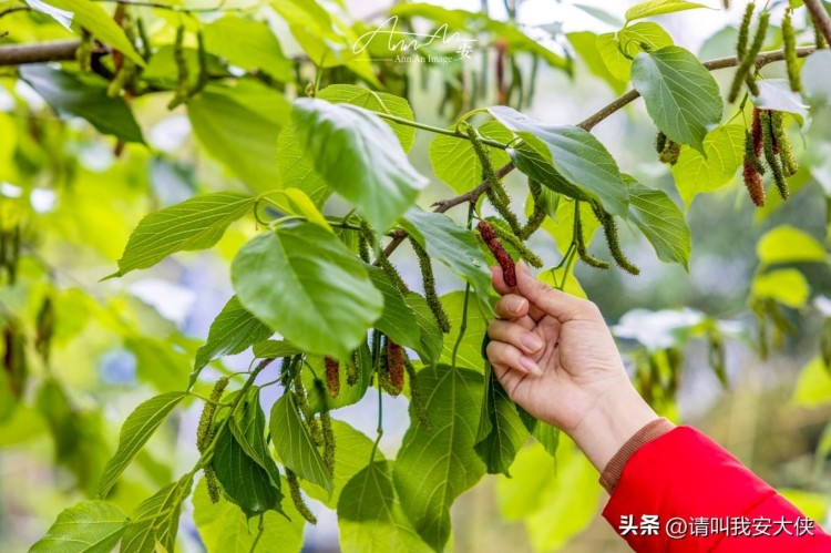 福州闽侯一日游自然人文治愈之旅